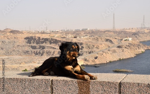  Aswan Wielka Tama Asuańska - Asuan - Egipt - Jezioro Nasera i okolice