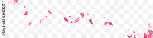Pink Rose Fly Vector Transparent Panoramic