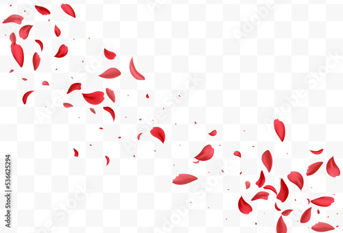 Beautiful Rose Fly Vector Transparent Background.