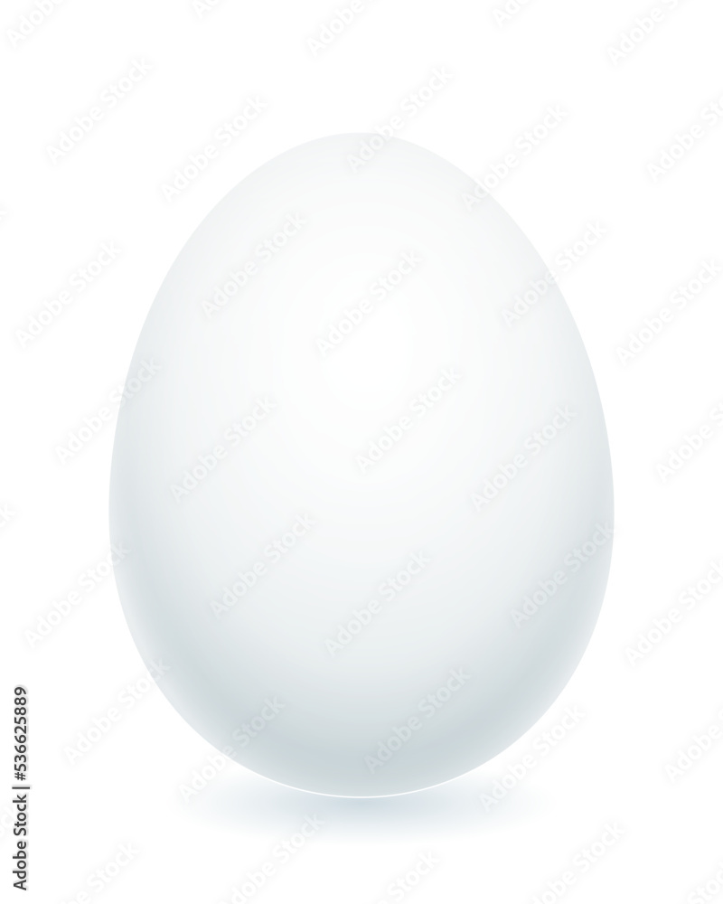 Bird egg illustration Bird egg illustration