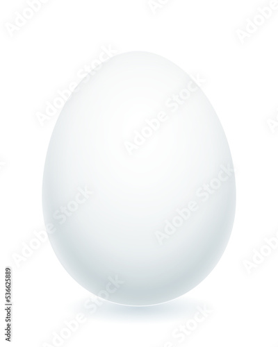 Bird egg illustration