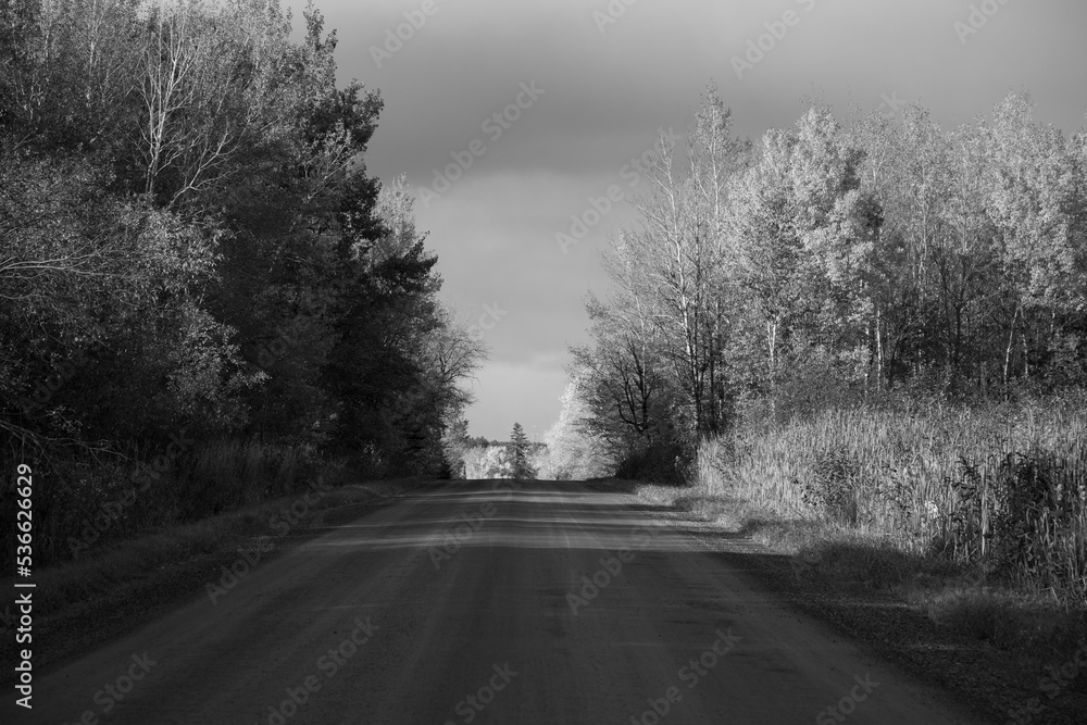 Dirt Road Sunset