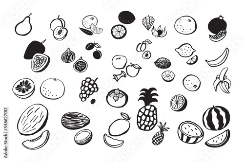 Fruits healthy food vector line illustations set. photo