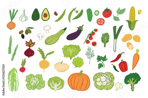 Vegetables healthy food vector illustrations set.