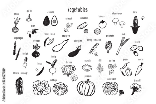 Vegetables healthy food vector illustrations set.