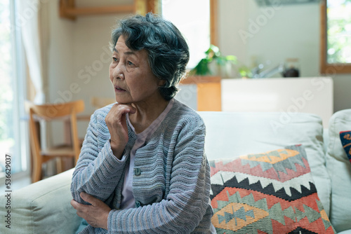 Canvastavla 不安そうなシニア女性