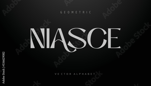 NIASCE  Sports minimal tech font letter set. Luxury vector typeface for company. Modern gaming fonts logo design.