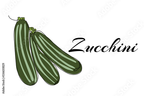 Continuous one line drawing of zucchini. Vector illustration on isolated background.