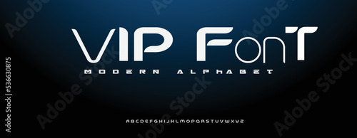  VIP Elegant alphabet letters font and number. Classic Lettering Minimal Fashion Designs. Typography modern serif fonts decorative vintage design concept. vector illustration