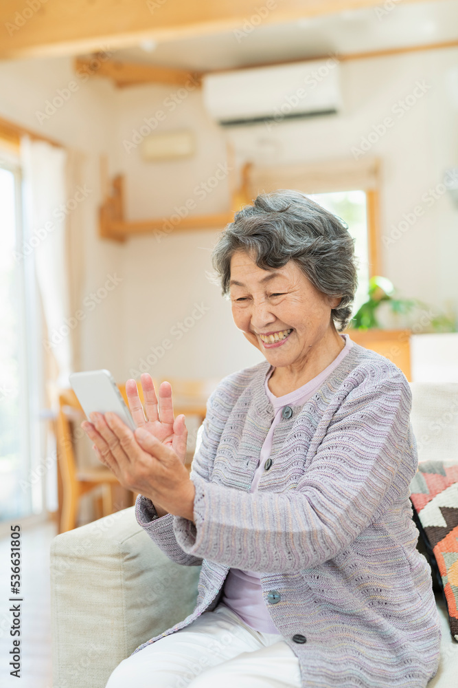 自宅で孫とテレビ電話をするシニア女性 自宅で孫とテレビ電話をするシニア女性