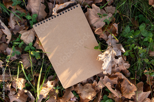 Autumn stationery composition with brown craft sketchbook on fallen leaves background. White blank card on the autumn background with fallen leaves. Mock up. Top view. Flat lay.