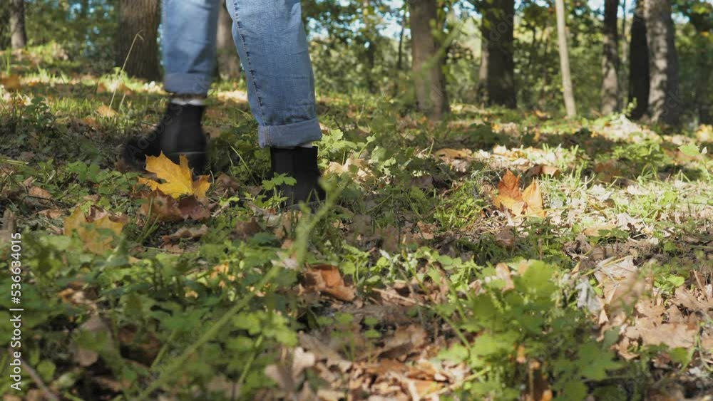 Lonely girl walks in the autumn park. A woman steps on fallen leaves. A girl dressed in blue jeans and black suede boots walks alone. Lonely girl walks in the autumn park. A woman steps on fallen leaves. A girl dressed in blue jeans and black suede boots walks alone.