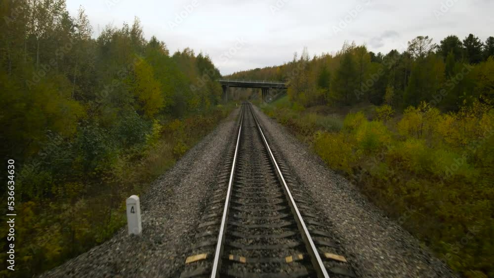 Aerial view of the railway and road bridge next to the hills covered beautiful gold autumn forest under cloud sky and sun Aerial view of the railway and road bridge next to the hills covered beautiful gold autumn forest under cloud sky and sun