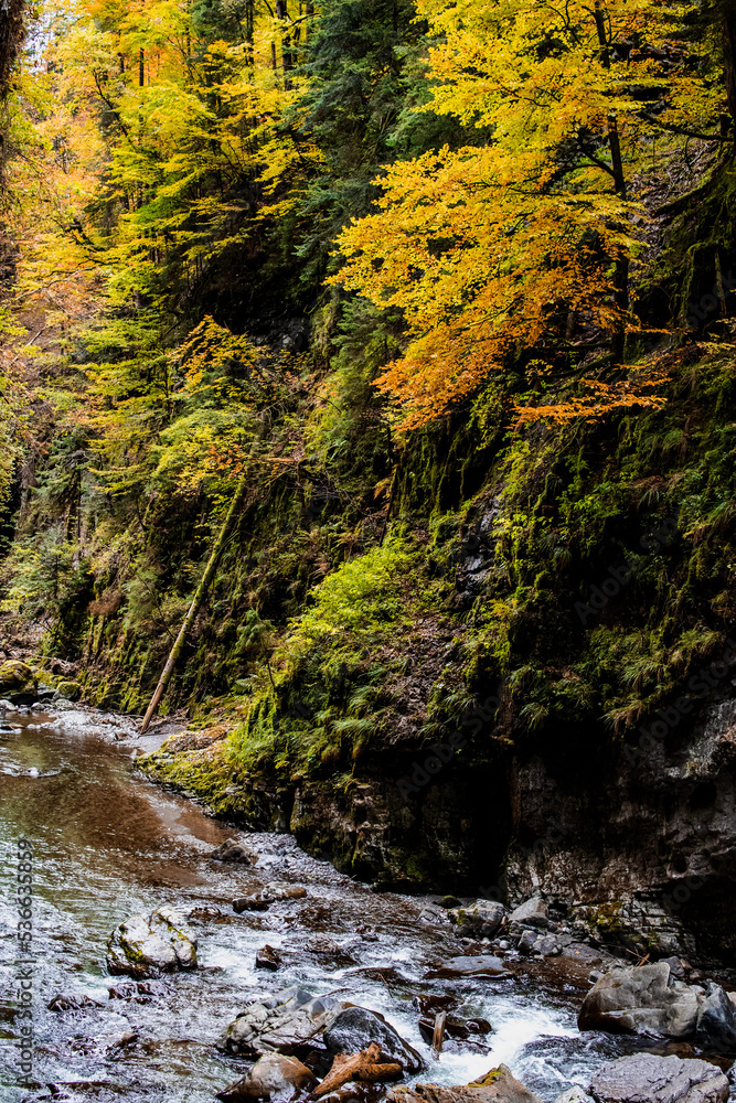 Obraz premium Herbstliche Breitbachklamm
