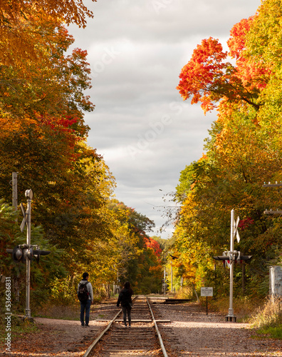 Autumn