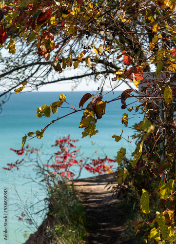Lake in Autumn