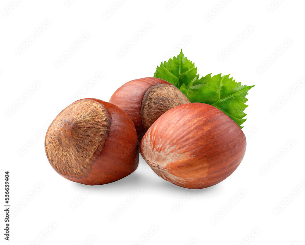 Group of hazelnuts with green leaves isolated on white background Group of hazelnuts with green leaves isolated on white background