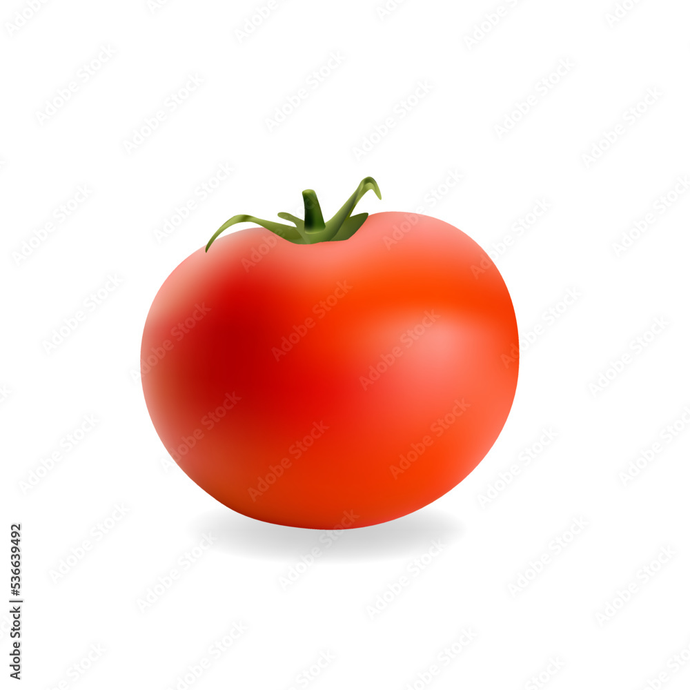 Juicy red vegetable tomato. 3 D . Juicy red vegetable tomato. 3 D .