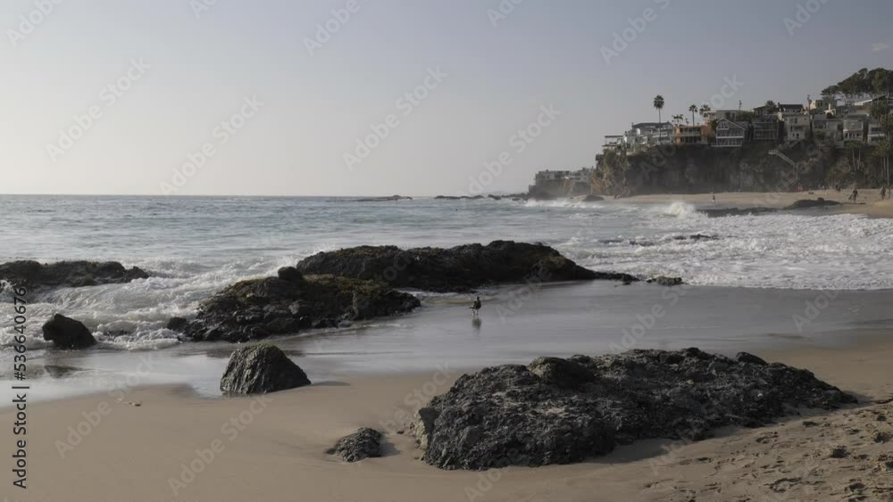 California Wild Coast. Rocks, sand, seagulls and big waves. Popular places for recreation and surfing. California Wild Coast. Rocks, sand, seagulls and big waves. Popular places for recreation and surfing.