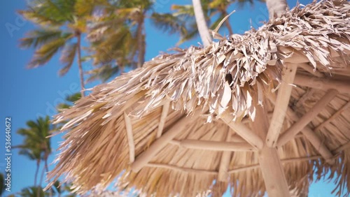 Close-up of a tatched sunshade umbrella at the beach against blue sky and palm trees photo