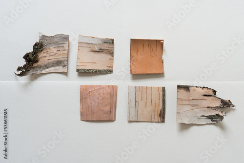 Canvastavla six pieces of cut birch bark on paper with creases or folds