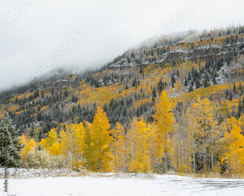 autumn forest in the mountains with first snow
