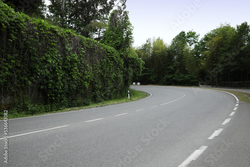 Picturesque view of asphalted roadway near beautiful trees and hedge