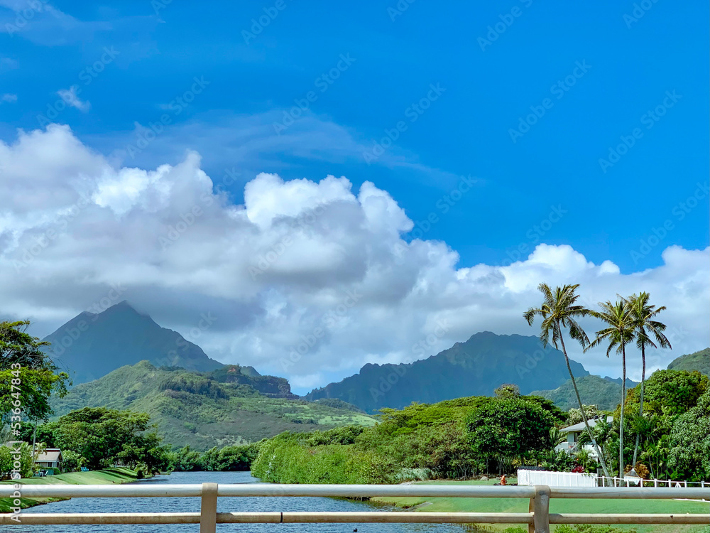Scenery of mountain range with palm trees in Hawaii