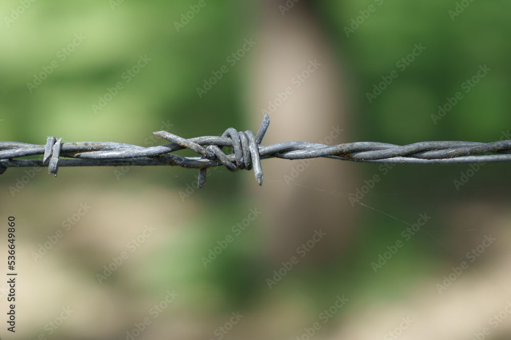 Barbed wire fence. Selective focus. Blurred background. Closeup. 