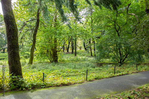 代々木公園