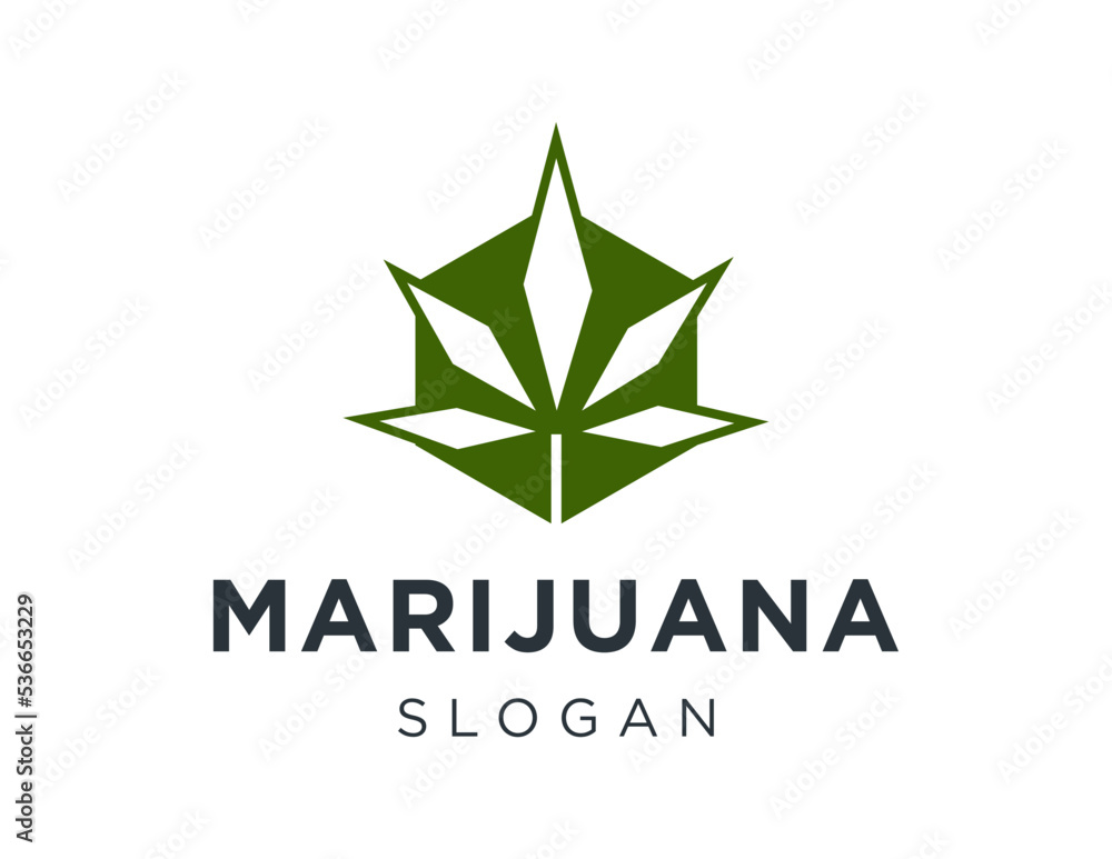 Logo design about marijuana on a white background. made using the CorelDraw application. Logo design about marijuana on a white background. made using the CorelDraw application.