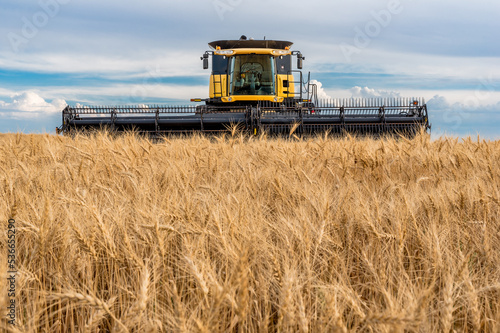Combine in a wheat field during harvest in Saskatchewan