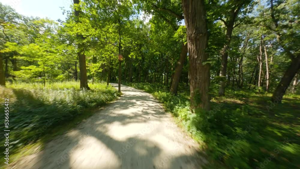 Biking and running on crushed limestone trail path. Sunlight going through tree canopy with lens flares. First person view POV cycling ride and run. Glen Waterfall Forest Preserve in Chicago Suburbs Biking and running on crushed limestone trail path. Sunlight going through tree canopy with lens flares. First person view POV cycling ride and run. Glen Waterfall Forest Preserve in Chicago Suburbs