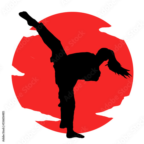 Illustration Karate logo icon