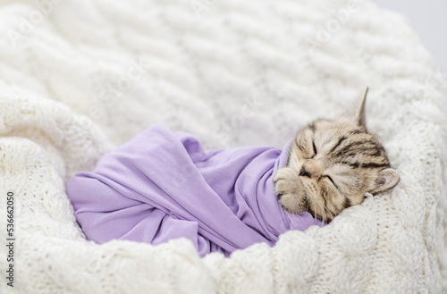 Cozy tiny kitten wrapped like a baby, sleeps on a bed © Ermolaev Alexandr
