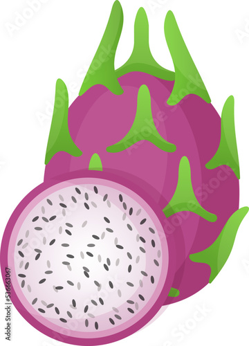 Tropical dragonfruit with slices cartoon vector illustration. Fresh natural fruit in flat style isolated on white background for restaurant menu design or organic market fruit banner.