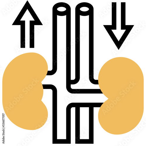 Kidneys icon
