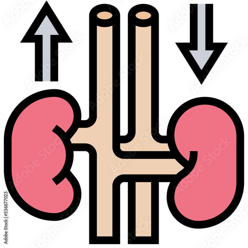 Kidneys icon