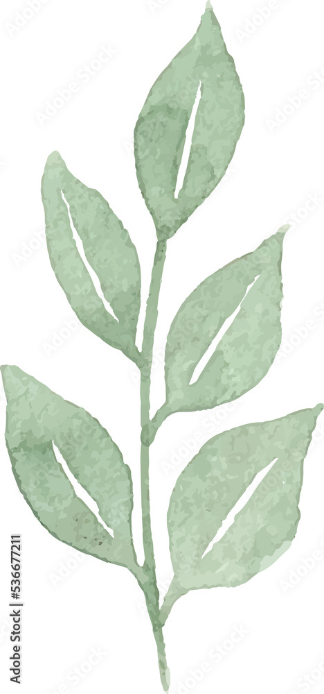 watercolor leaf minimal design watercolor leaf minimal design