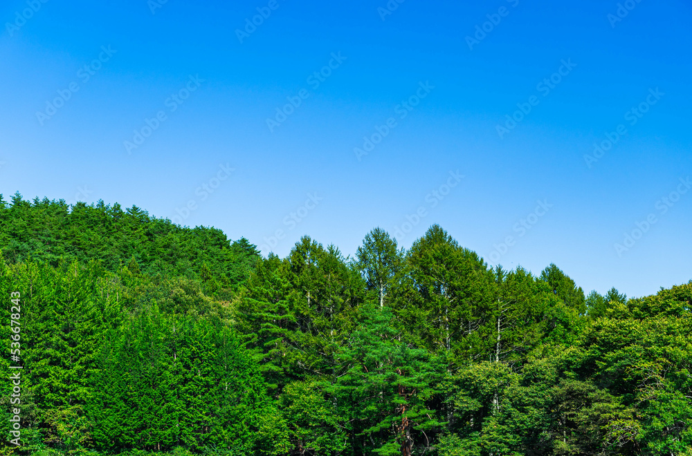 秋の空と山　箕輪町