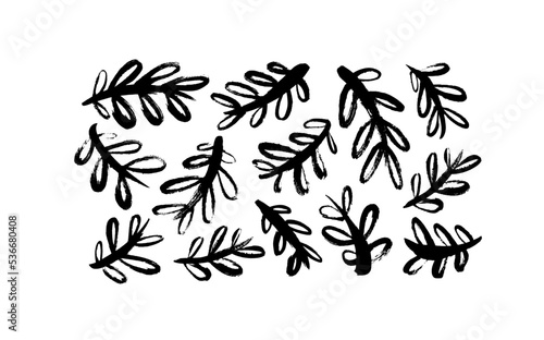 Set of black contour leaves and twigs. Hand drawn vector botanical illustrations in rustic style isolated on white background. Dry brush drawn branches with rounded leaves. Rough twigs or branches.