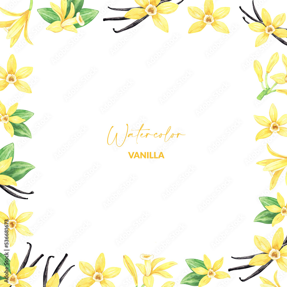 Watercolor yellow vanilla flowers and dried sticks. Background design with hand drawn iIllustration of blooming orchids. Tropical flora ingredient for recipe, label, packaging design. Watercolor yellow vanilla flowers and dried sticks. Background design with hand drawn iIllustration of blooming orchids. Tropical flora ingredient for recipe, label, packaging design.