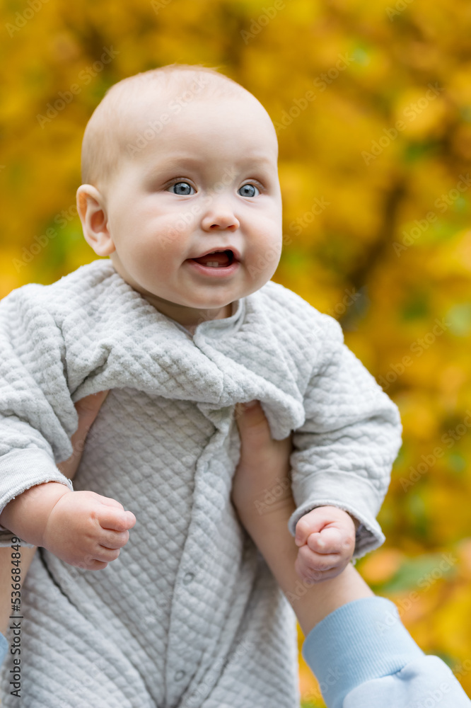 Portrait of excited baby with green eyes squealing with excitement in arms of parent. Overjoyed little girl squeezes tiny hands into fists in autumn park Portrait of excited baby with green eyes squealing with excitement in arms of parent. Overjoyed little girl squeezes tiny hands into fists in autumn park
