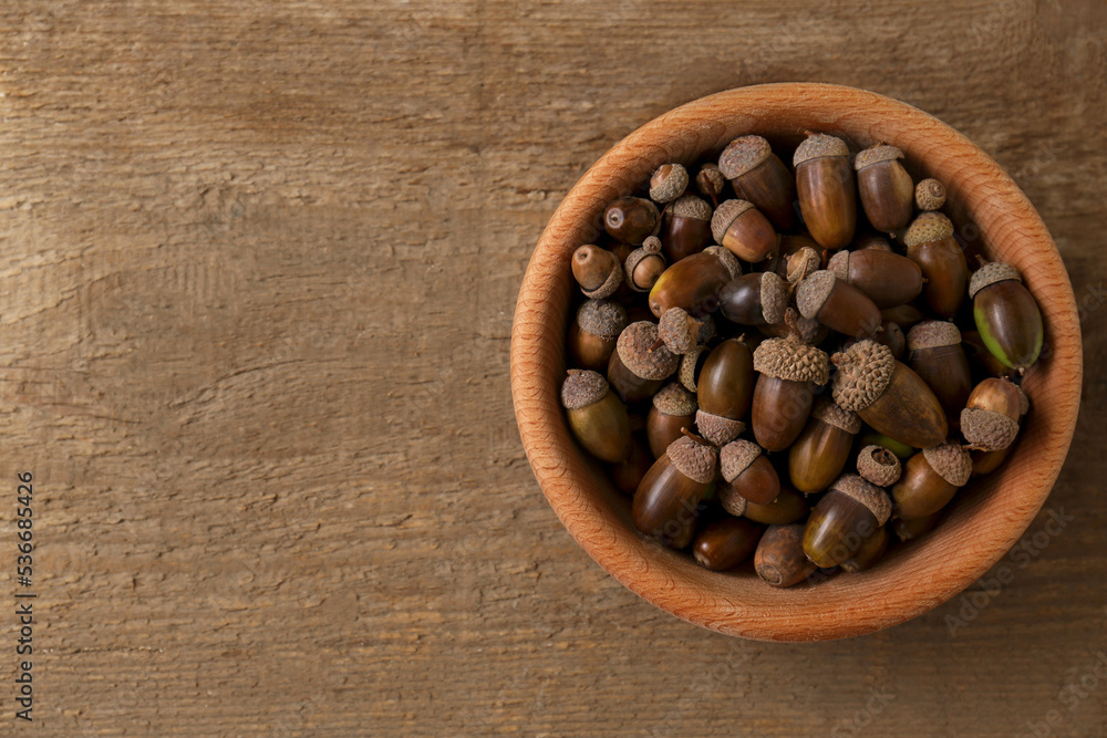 Bowl of acorns on wooden table, top view. Space for text