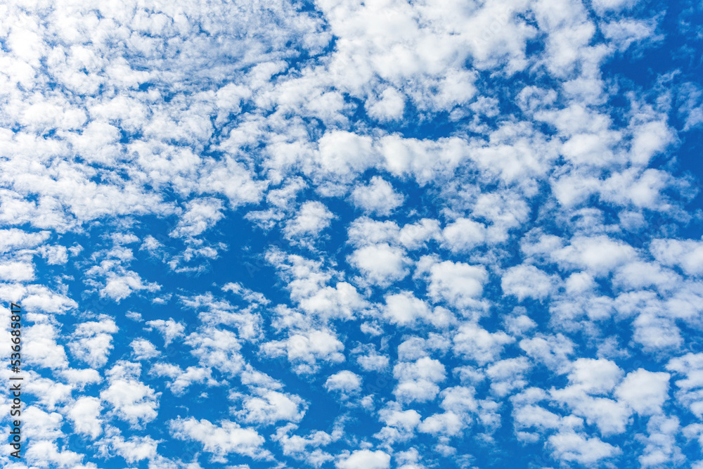 Obraz premium blue sky background with small clouds.