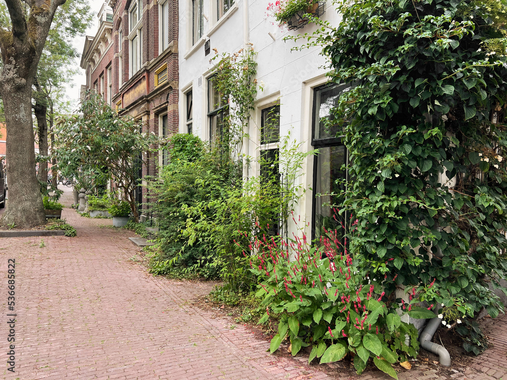 Beautiful view of city street with buildings and plants on sunny day