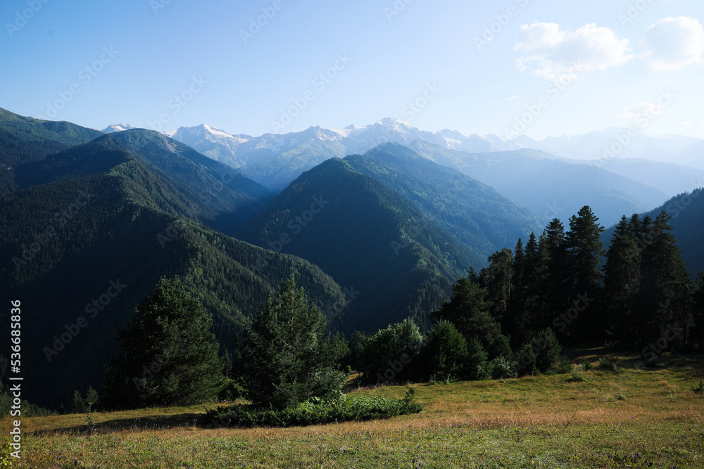 Picturesque view mountain landscape with meadow and forest on sunny day