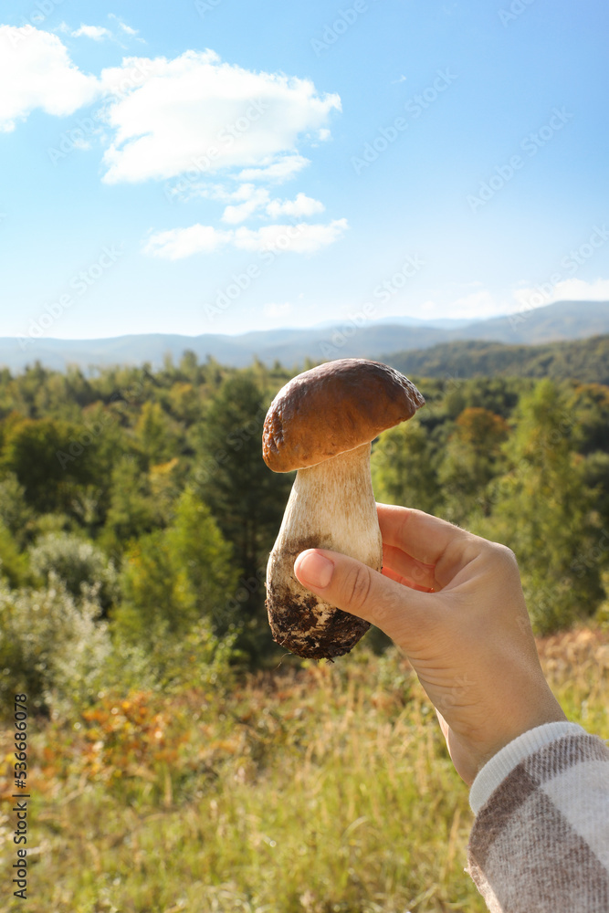 Man holding fresh wild mushroom on sunny autumn day, closeup Man holding fresh wild mushroom on sunny autumn day, closeup
