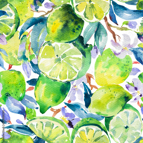 Fototapeta Naklejka Na Ścianę i Meble -  Watercolor Lime Seamless Pattern, Summer Vivid  Fruits Botanical Texture