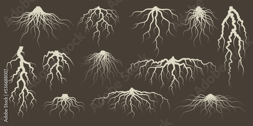 Various brown tree or shrub roots. Parts of plant, root system with tree stump. Dendrology, study of woody plants. Sketch drawing. Vector illustration